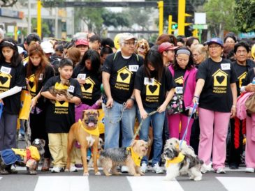 GRAN CAMINATA HUELLAS 4K: UN DÍA DE DIVERSIÓN Y SOLIDARIDAD POR LOS ANIMALES SIN HOGAR