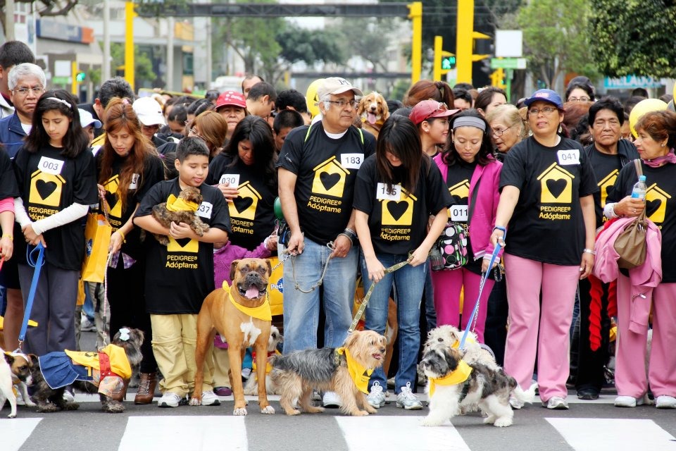 GRAN CAMINATA HUELLAS 4K: UN DÍA DE DIVERSIÓN Y SOLIDARIDAD POR LOS ANIMALES SIN HOGAR