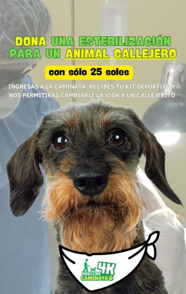 GRAN CAMINATA HUELLAS 4K: UN DÍA DE DIVERSIÓN Y SOLIDARIDAD POR LOS ANIMALES SIN HOGAR