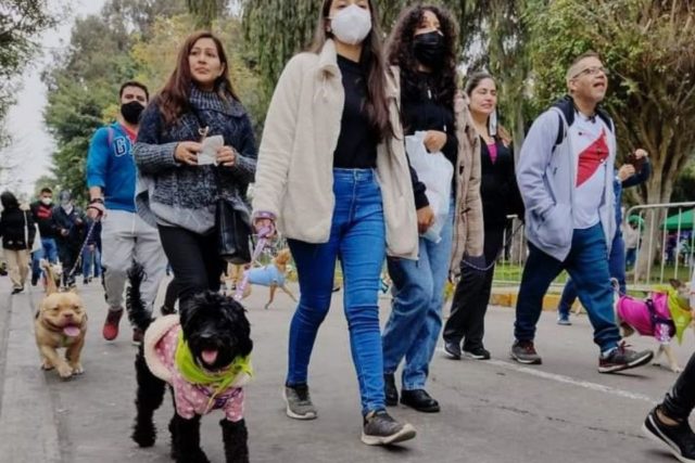 GRAN CAMINATA HUELLAS 4K: UN DÍA DE DIVERSIÓN Y SOLIDARIDAD POR LOS ANIMALES SIN HOGAR