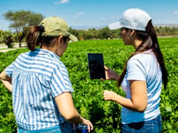 Intel logra el estatus de Agua Neta Positiva