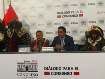 Congresista Ilich López