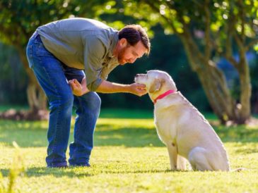 DÍA DEL PERRO: 5 CONSEJOS PARA CUIDAR A TU PELUDO
