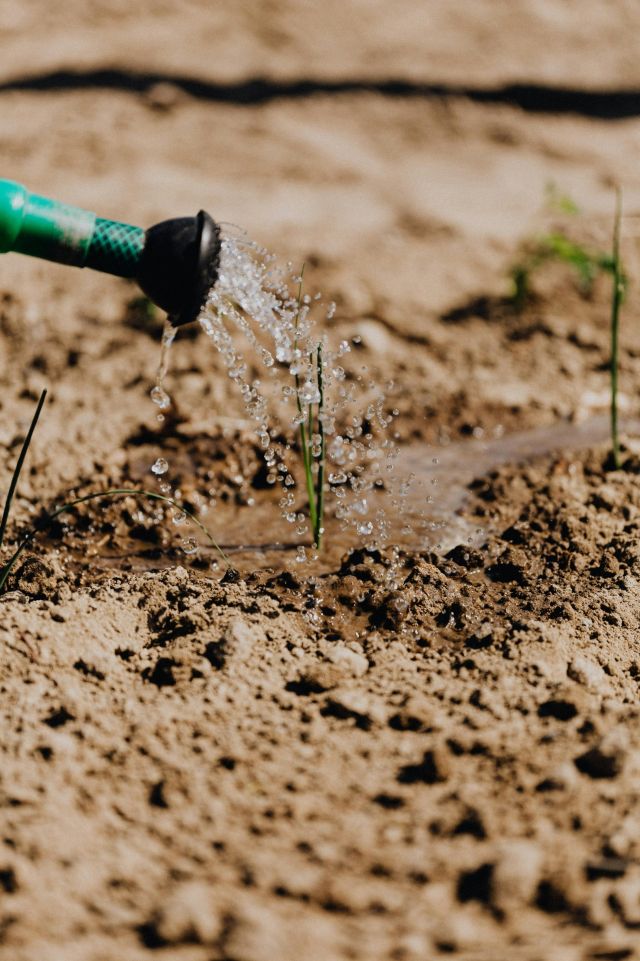 Consecuencias del uso excesivo de agua