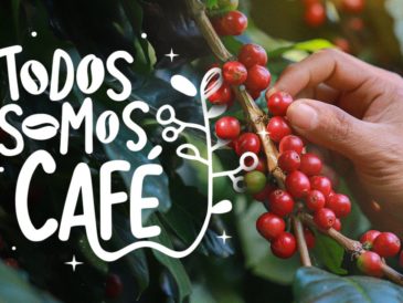 Starbucks Perú vuelve para apoyar a los caficultores cusqueños
