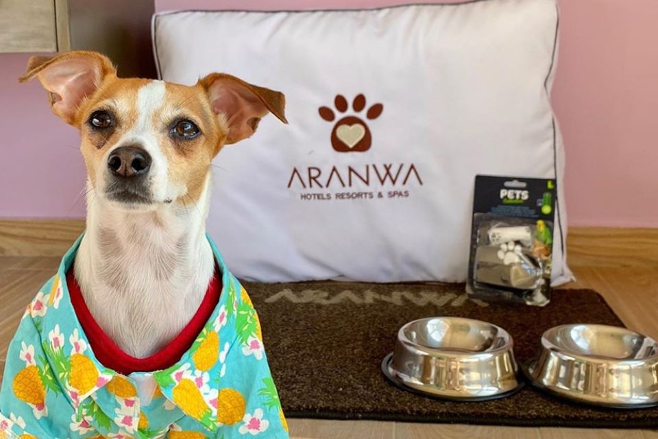 Voz Animal y Aranwa Hotels