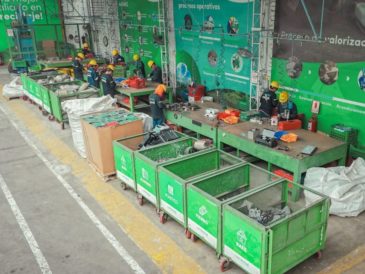 nuevo programa de reciclaje