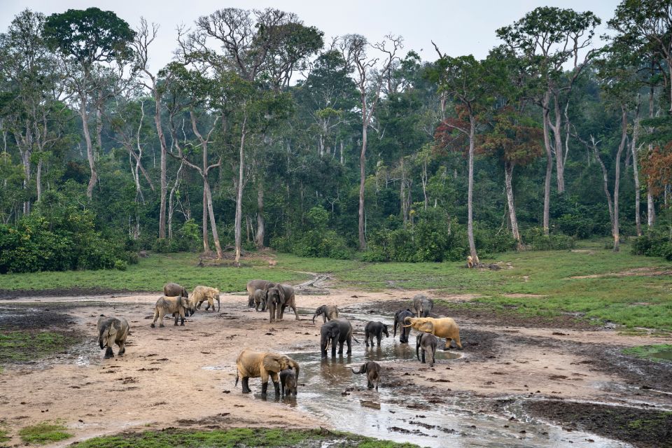 IBM y WWF-Alemania