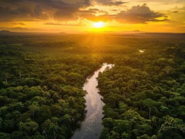 Natura crea una alianza sin precedentes con sus proveedores para acelerar las prácticas regenerativas