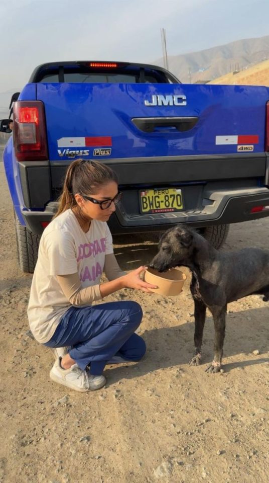 JMC se une a una noble causa para la protección animal