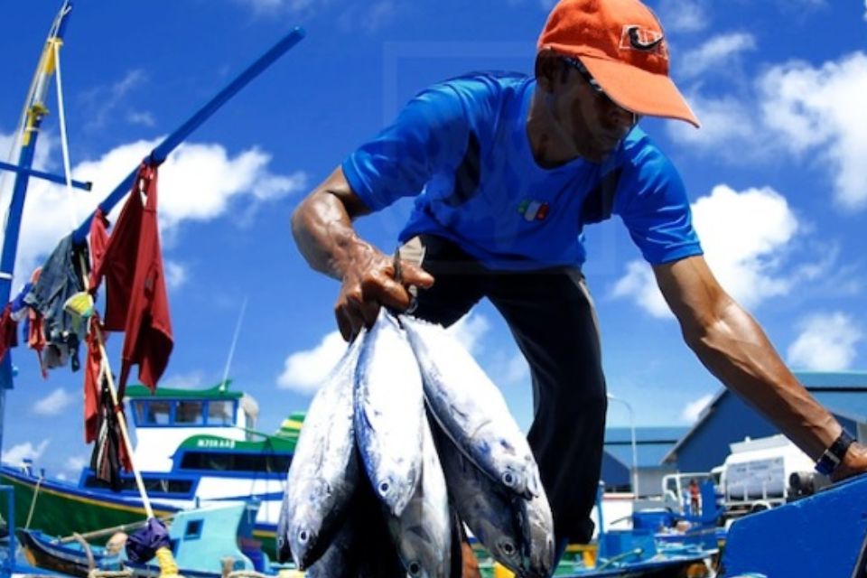 Cuatro RAZONES PARA APOSTAR POR LA PESCA SOSTENIBLE 