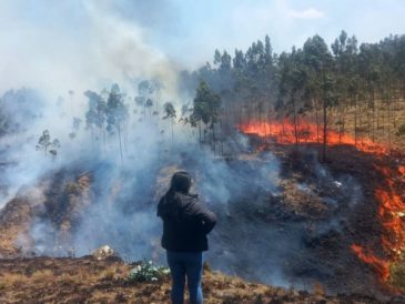La urgente necesidad de una protección adecuada