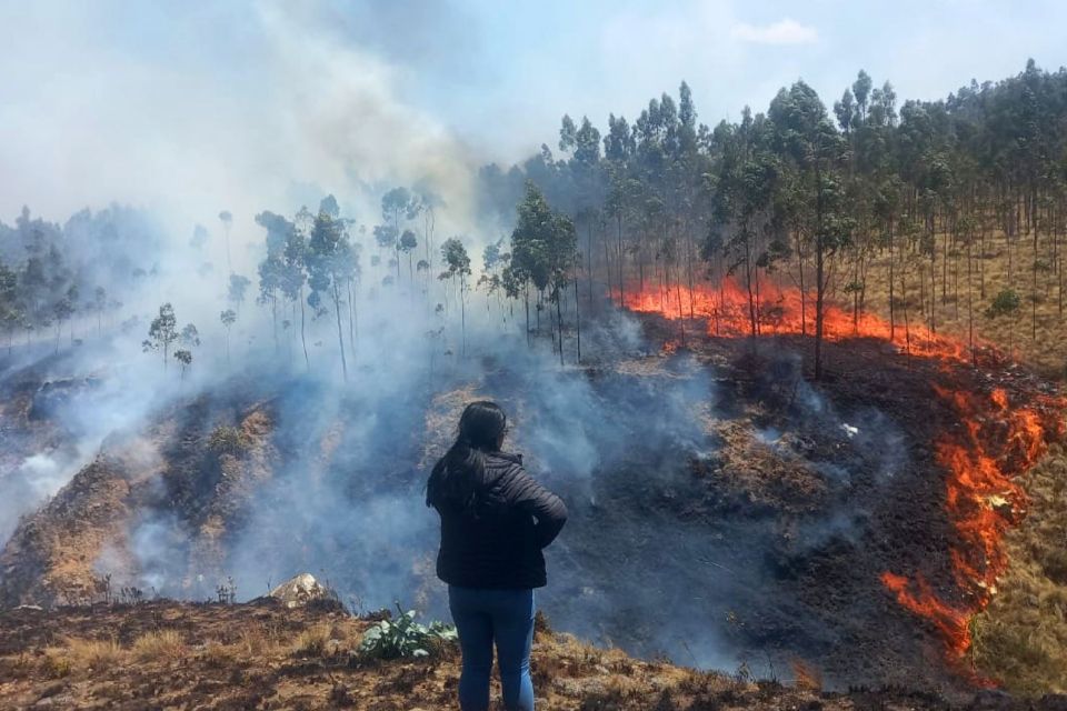 La urgente necesidad de una protección adecuada