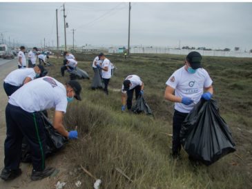 Voluntarios de Compromiso Verde