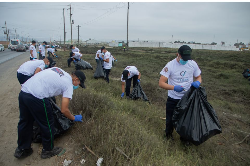 Voluntarios de Compromiso Verde