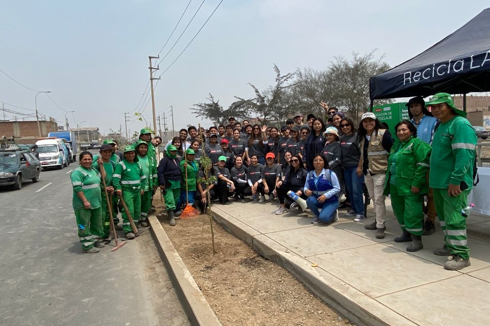 200 árboles fueron plantados