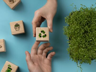 preocupación por greenwashing