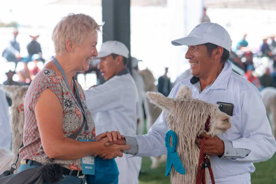 8,995 asistentes en el Alpaca Fiesta 2024