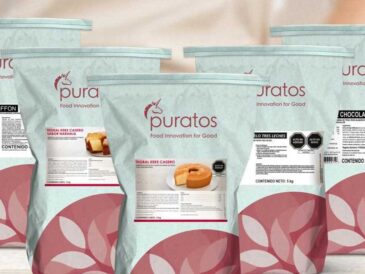 renovado Portafolio Base