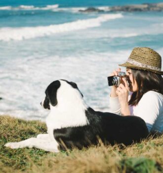 viajar seguro con tu mascota