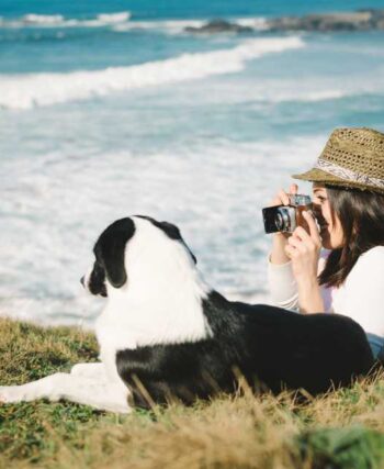 viajar seguro con tu mascota