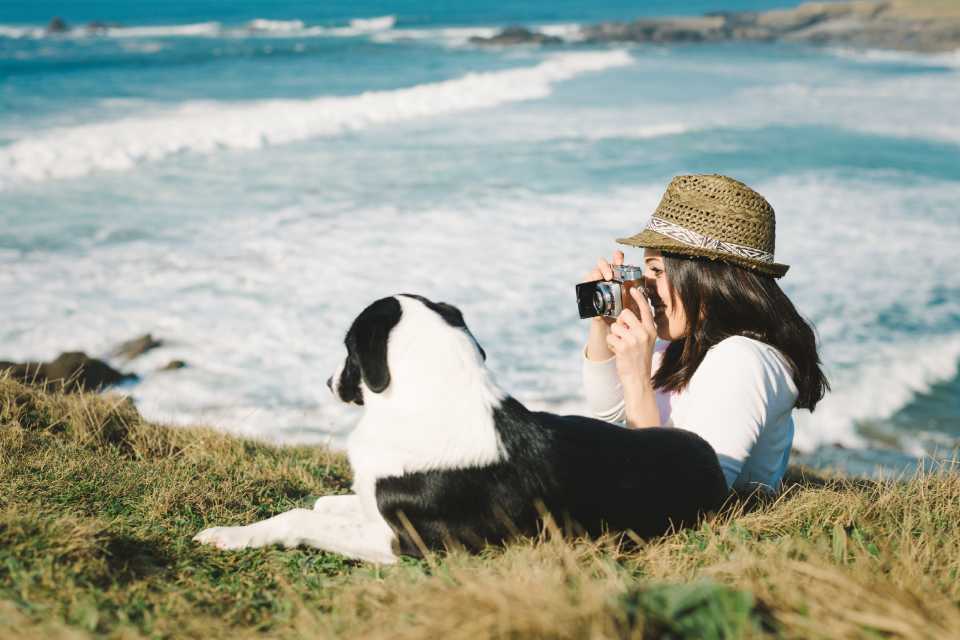 viajar seguro con tu mascota