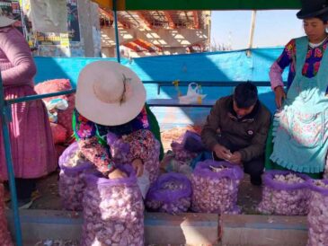 Cómo va la venta de ajos en Perú