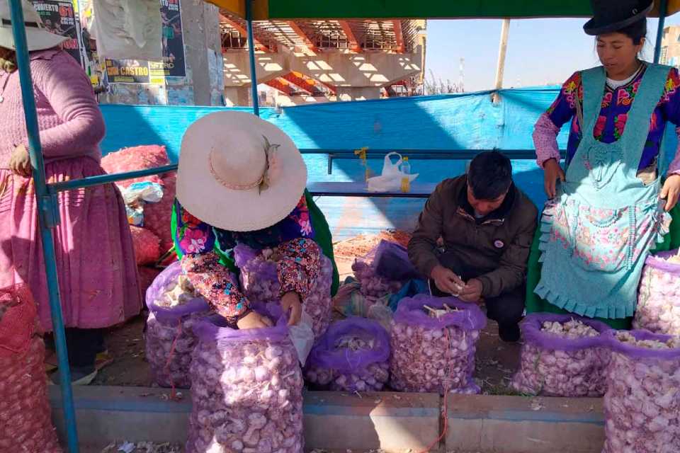 Cómo va la venta de ajos en Perú