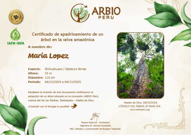 Regala un gran árbol amazónico 