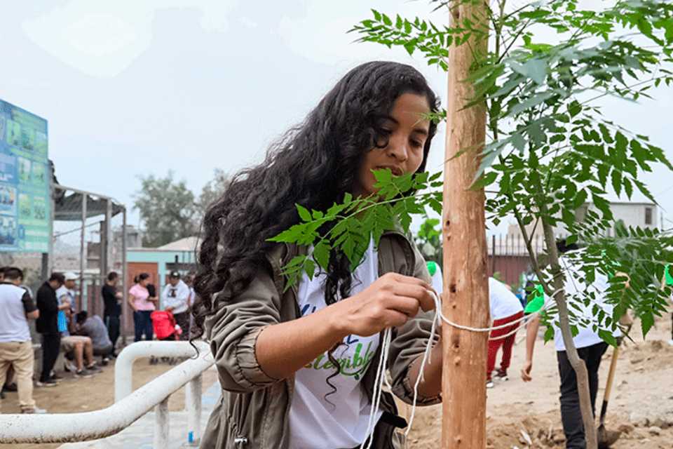 ¿Cómo impacta el voluntariado en el Perú?