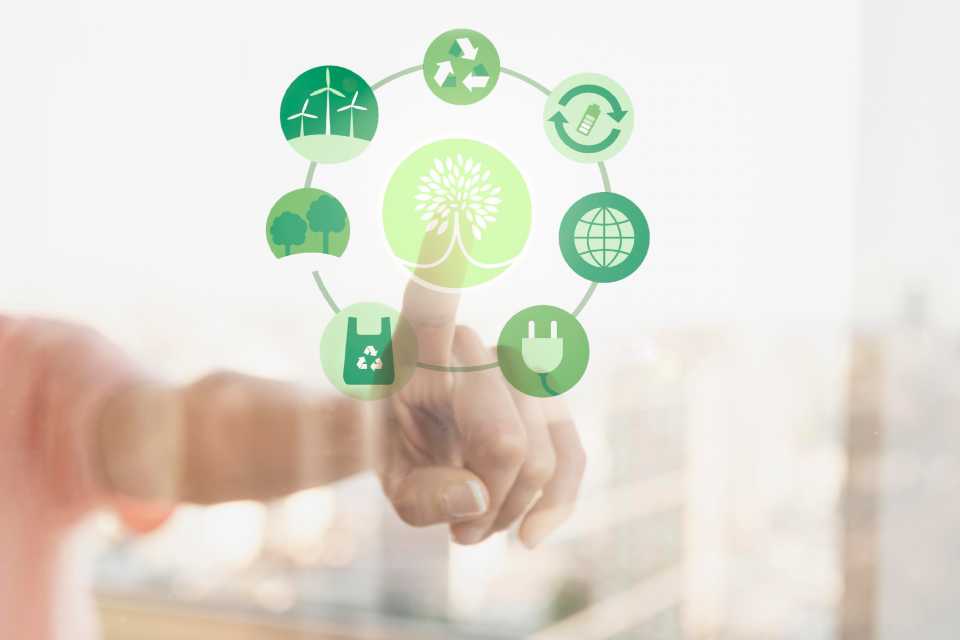 Día Mundial de la Educación Ambiental: ¿Qué es la Huella de Carbono y por qué debes reducirla?
