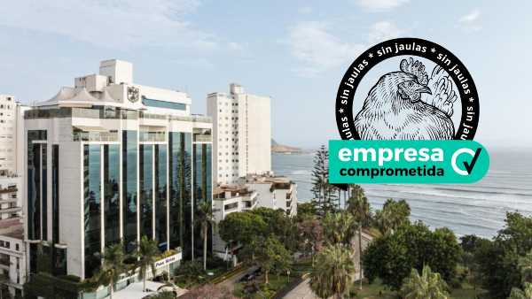 gallinas libres de jaulas