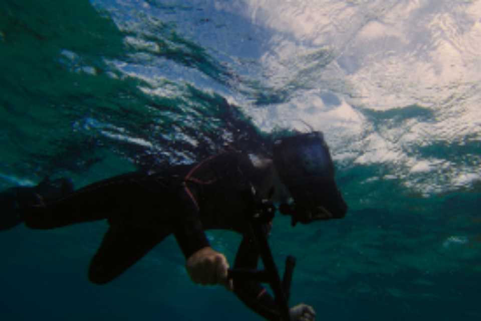 Samsung refuerza su compromiso con los océanos