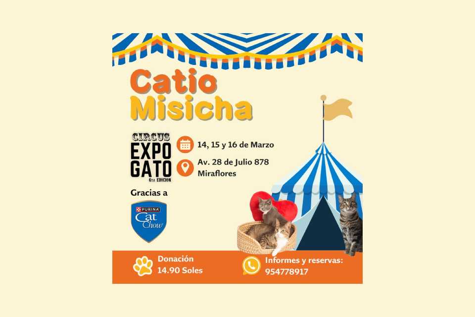 El Catio de Cat Chow y Misicha te invita a encontrar tu próximo amigo felino en el Expogato 2025
