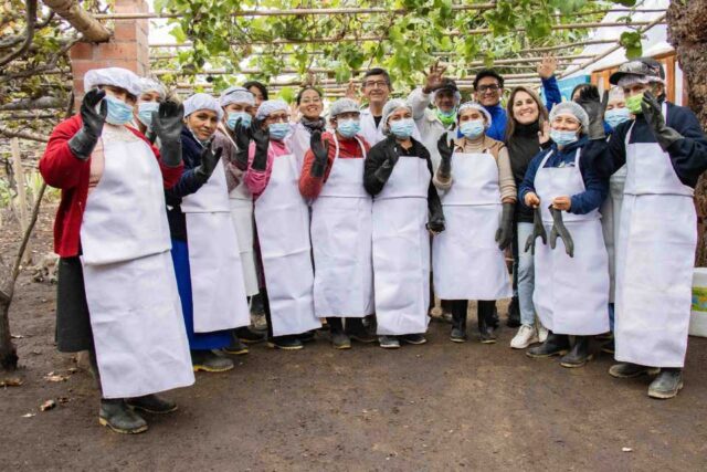 Emprendedoras sostenibles