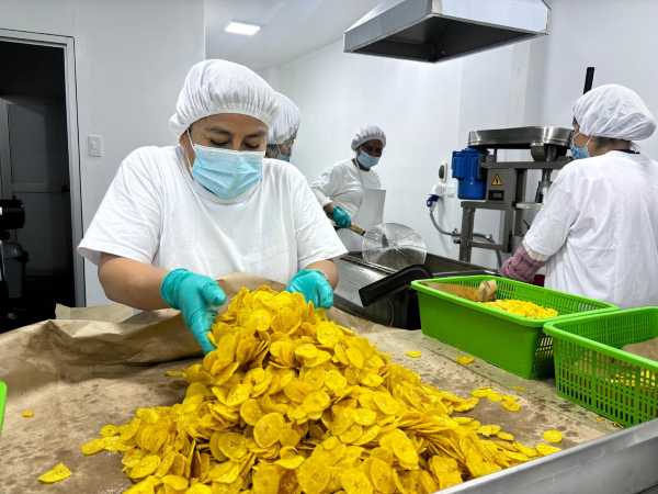 Emprendedoras sostenibles: Tres mujeres que lideran el cambio