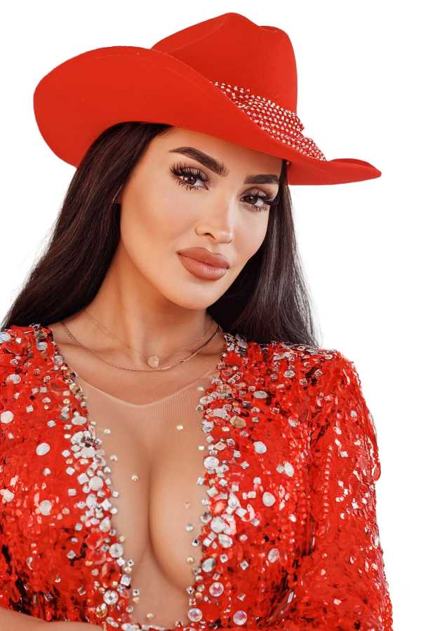 Michelle Soifer regresa 