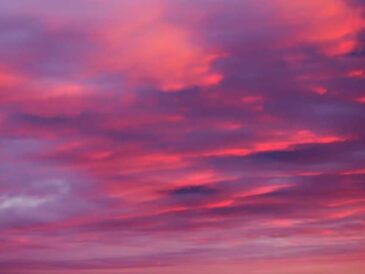 Así puedes capturar el cielo en rosa y hacer que tu feed luzca espectacular.