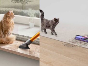 Dile adiós a los pelos de tu mascota