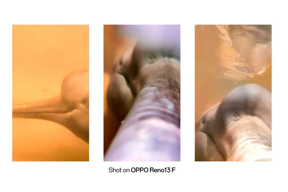 El delfín rosado del Amazonas fotografiado con un OPPO