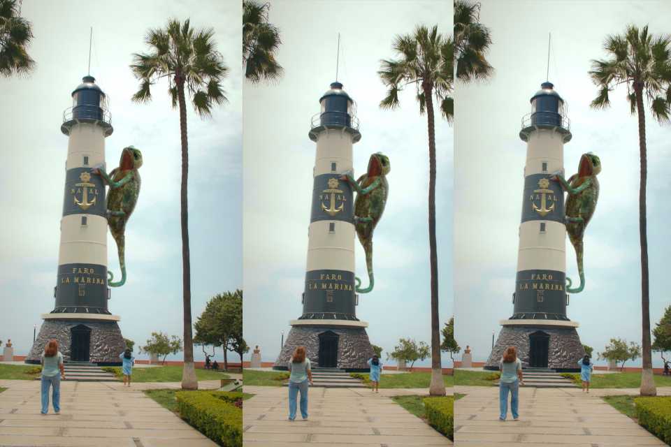 Invasión de camaleones en Lima