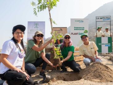 ARBIO lanza Hermanando Árboles