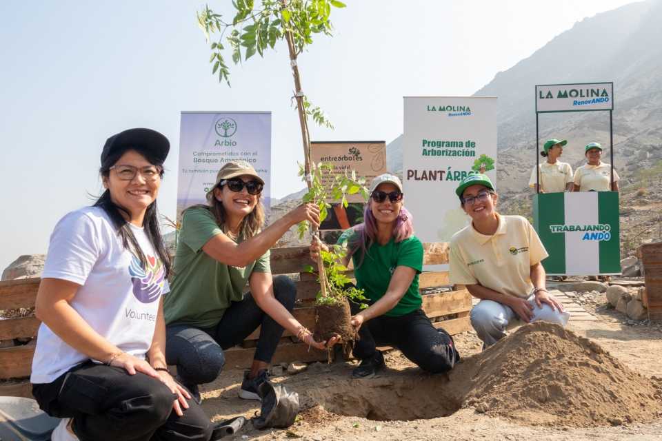 ARBIO lanza Hermanando Árboles