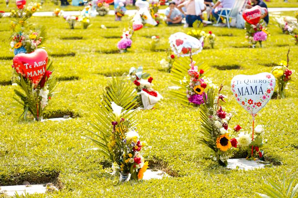 Camposantos MAPFRE: actividades por Día de la Madre