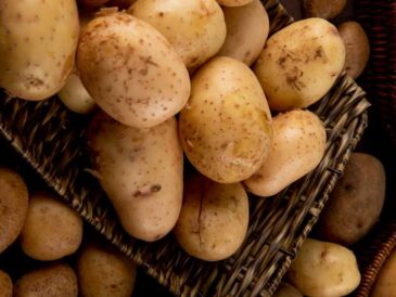 Día Internacional de la Papa: Perú reafirma su liderazgo