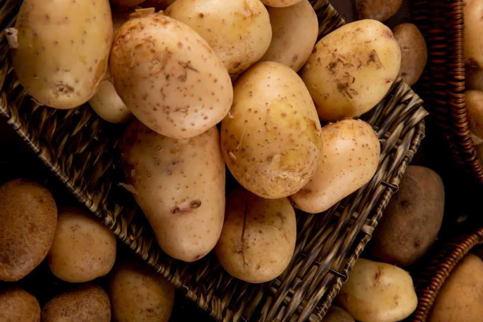 Día Internacional de la Papa: Perú reafirma su liderazgo