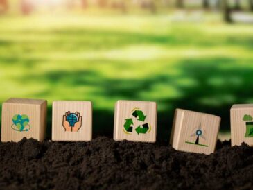Día Mundial del Reciclaje: 5 claves para una gestión responsable