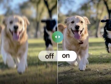 Saca la mejor foto de tu mascota: 5 recomendaciones de OPPO para hacerlo posible