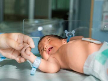 Cuánto dinero mueve la industria global de vientres de alquiler