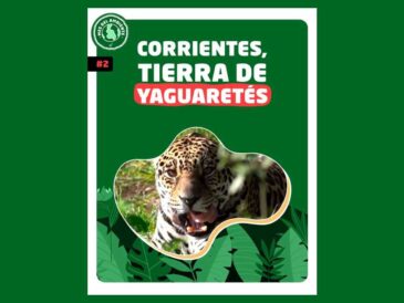 Día Mundial del Ambiente: ocho propuestas audiovisuales